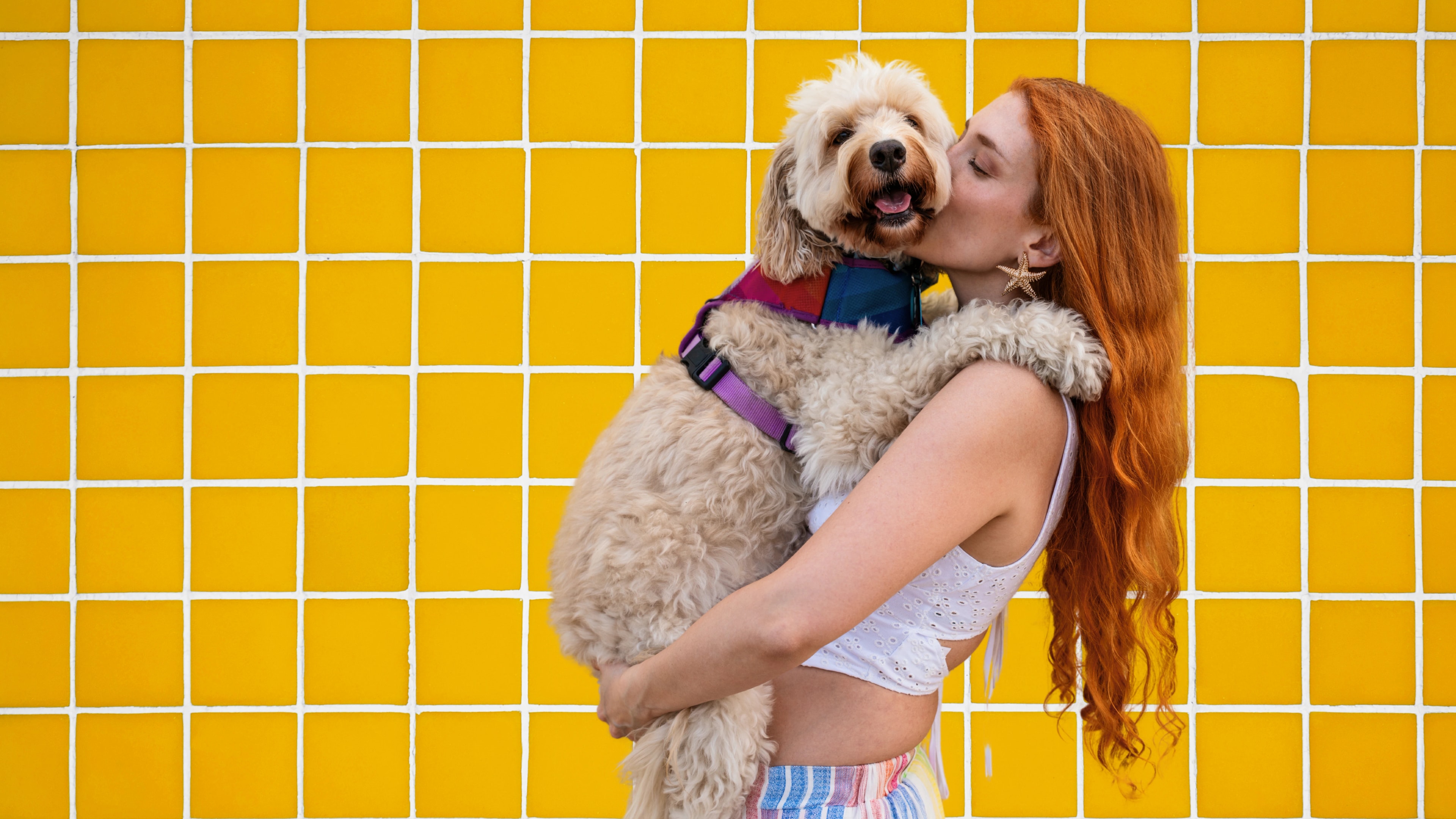 ByteChat - Tu Experto AI en Perros